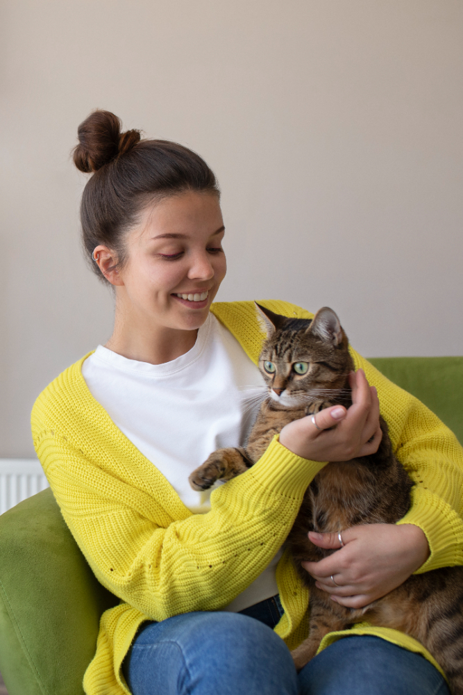 consulta-gato-estrecho-algeciras